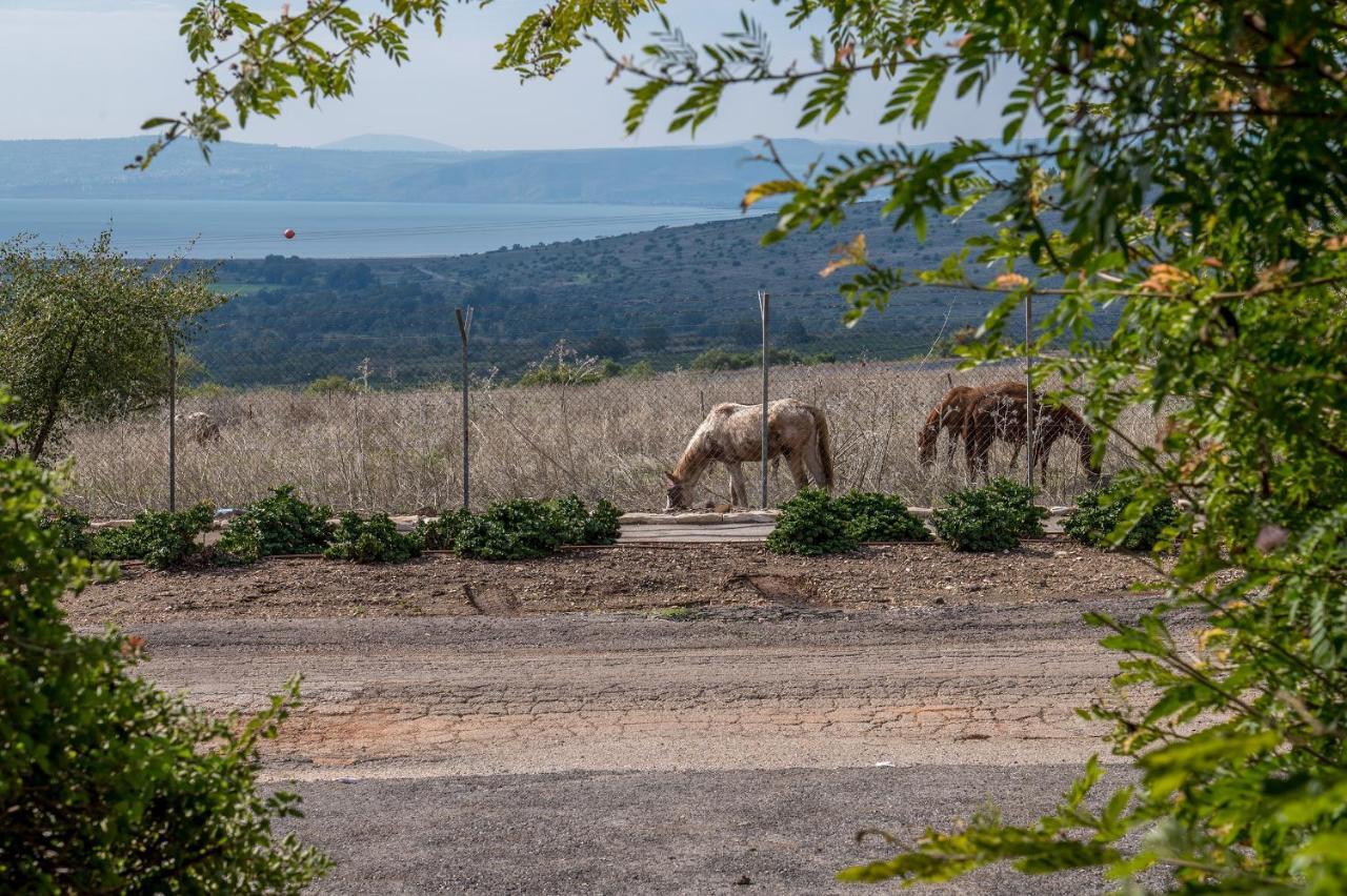 Nof Kinneret Cabins Хад Нес Екстериор снимка