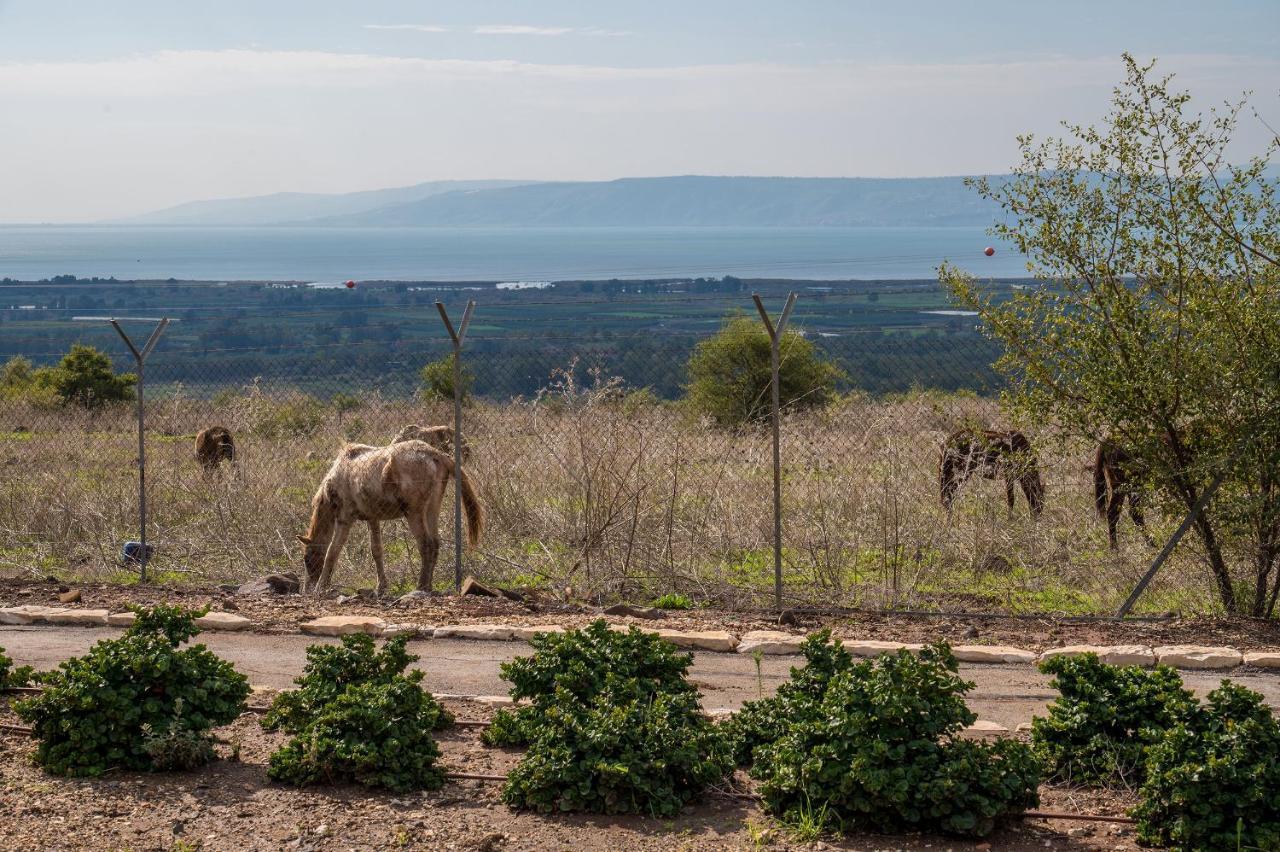 Nof Kinneret Cabins Хад Нес Екстериор снимка