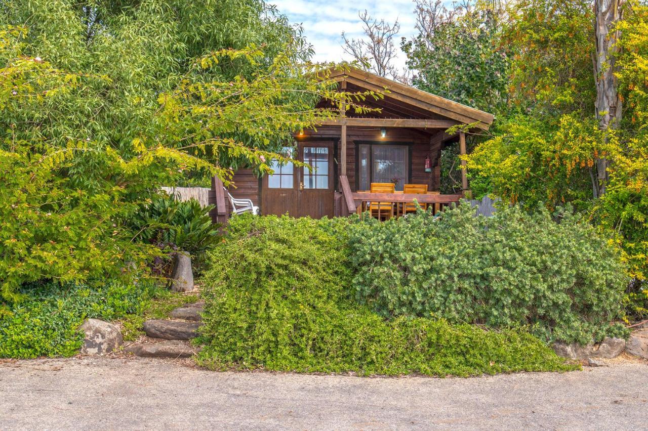 Nof Kinneret Cabins Хад Нес Екстериор снимка